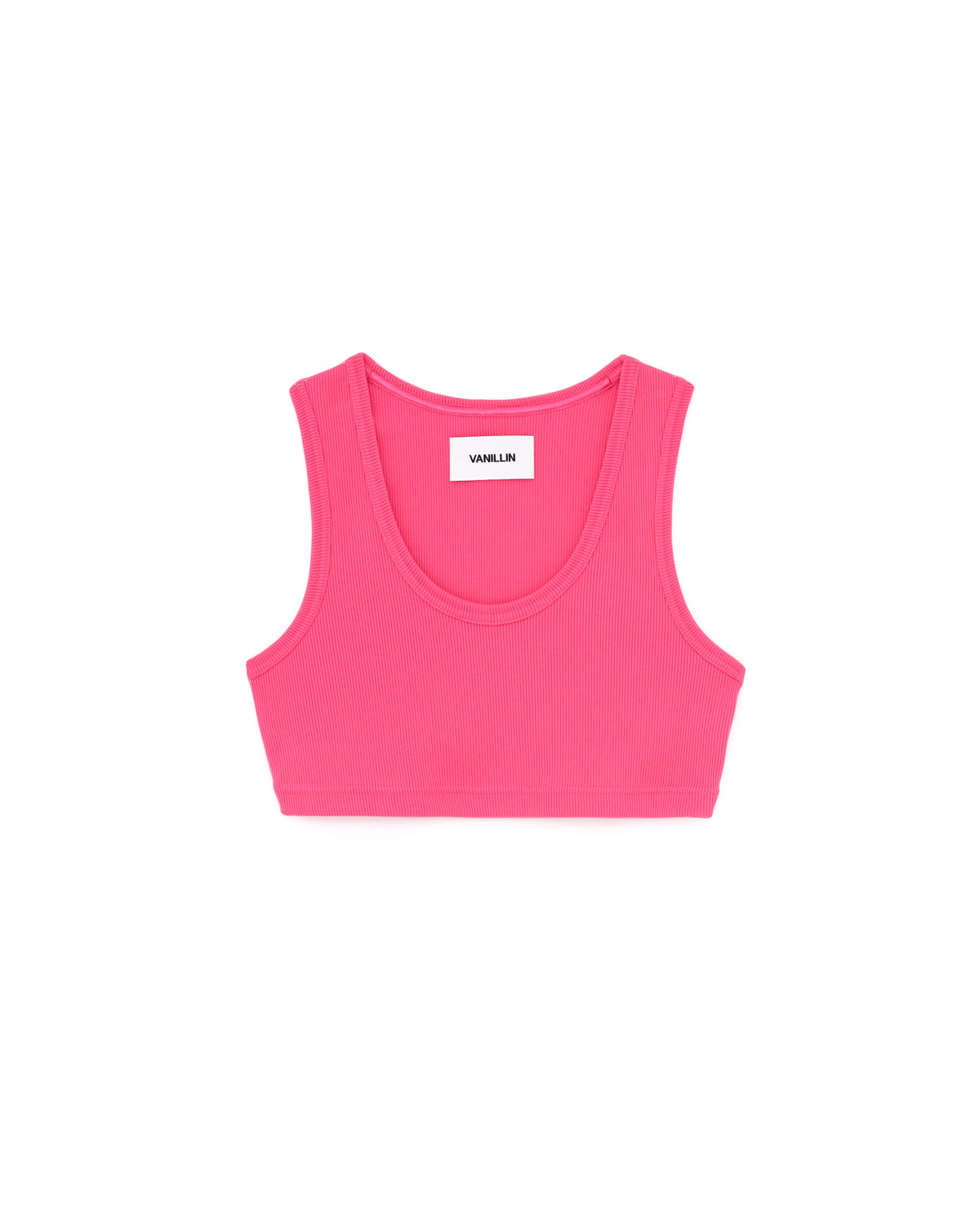 PF21-SD-13 CROP